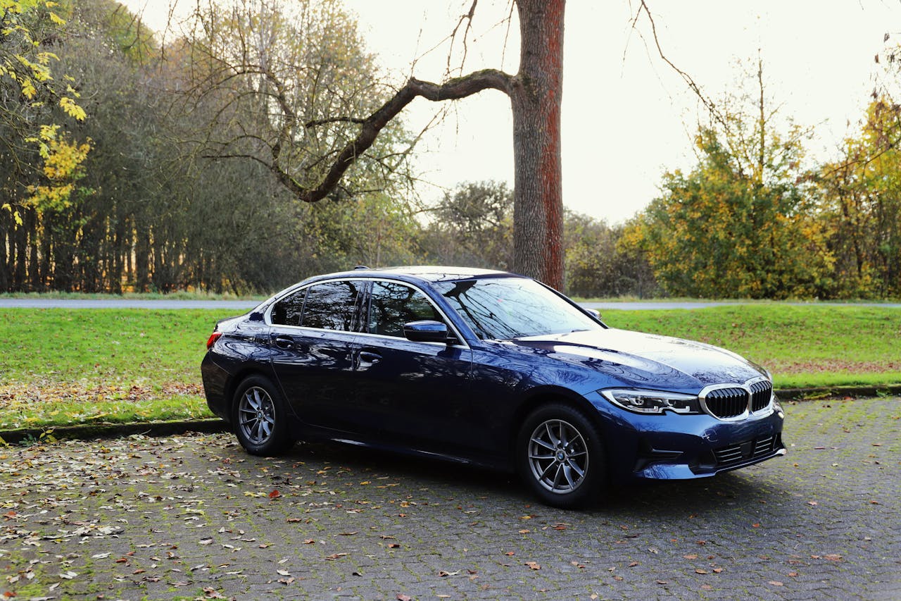 A stylish BMW parked amidst a serene autumnal backdrop with vibrant foliage.