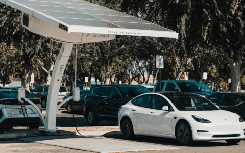 Electric Vehicles in India 2025: Trends, Challenges and Way Forward